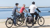 City Bike Rental in Porto