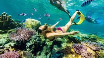 All Inclusive Bali Blue Lagoon Snorkeling with Lunch Private Tour