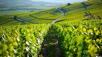 Excursion to the Champagne region and Wine Tasting