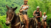 Muleback Riding Tour