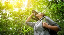 Corcovado & Arenal Volcano Expedition 8D/7N Vacation Package