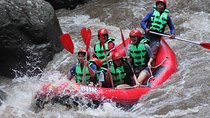 Ayung Rafting Without pick-up