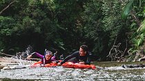 Mossman Gorge Adventure Day