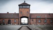 Auschwitz-Birkenau Private Tour from Krakow