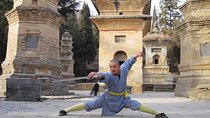 13-Day Private Tour to Beijing,Datong,Pingyao,Xi'an,Luoyang,Chengdu and Shanghai