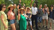 Private Transport from Ocho Rios to Bamboo Blue Beach