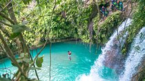 Kawasan Falls Canyoning and Moalboal Sardine Run, Sea Turtles
