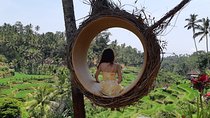 Best Of Ubud All Inclusive Tour, Waterfall,Rice Terrace and Temple