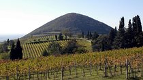 Private Wine and Olive Oil Tour in Padua with Thermal Baths