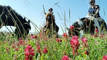 Horsebackriding - explore Tuscan nature