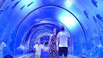 Private 5 Nights Cairo & Hurghada Tour
