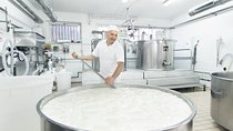 Dolce Vita Tour with Cheese, Olive Oil and Wine Experiences