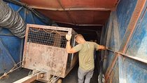 Tanzanite Gemstone mining experience at Mererani mines Day Tour