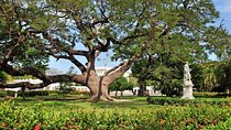 Self-Guided Audio Tour - Botanical Garden