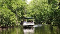 Black River Safari plus YS Falls Private Tour 