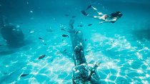 Plus Experience Isla Mujeres Tour