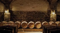 Santa Rita Winery - Tour with Tasting