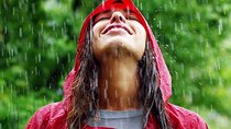 Rainforest Lovers 9D/8N Vacation Package 