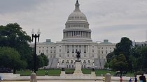 Private 4-hour Best of Washington Tour with pick up and drop off