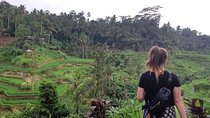 Bali All Inclusive Tour, Ubud Rice Terrace, Temple and Volcano