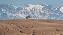 Marrakech: Agafay Desert Dinner Show and Sunset Camel Ride