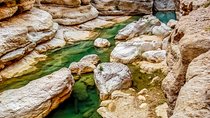 Discover the South & Wadi Shab