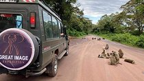 3days Serengeti National park and Ngorongoro Crater Tanzania Safari 