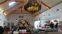 Shared Tour To The Wineries Stellenbosch Paarl + Cheese Tasting from Cape Town 