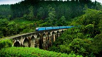 Sri Lanka Most Popular - 12 Days.