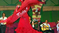 Live Show at Teatro Flamenco Madrid Ticket 