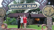 Jamaica South Coast 2 in 1 Tour 