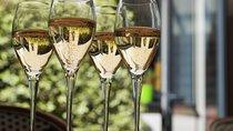 Private Guided Tour in Champagne from Paris with Moet&Chandon visit.