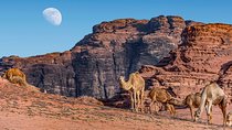 Jordan Pass 3 Nights Golden Triangle Tour from Amman Hotel