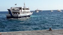 Minicruise Positano & Amalfi from Sorrento: 3 sites in 1 day!