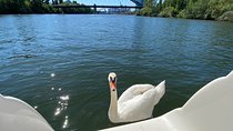 Explore Bird & Marine Wildlife private Boat Tour in English