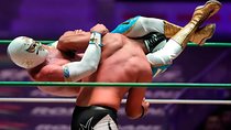 Wrestling show and a Mexican dinner