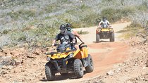 Combo Double Atv + Horses