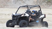Combo Double Utv + Horses