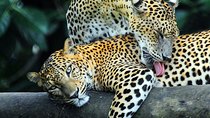Adventure Sri Lanka ( 5N/6D)