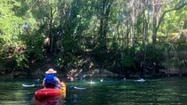 Wekiva River Guided Kayak Tour