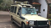 Nairobi National Park Half Day Excursion
