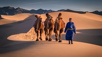 Great Gobi Desert and Ancient Mongolia 12 days 