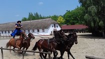 The "Puszta" Horse Show