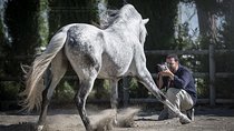 Equestrian Photography Class
