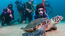Puerto Vallarta Undersea Private Scuba Diving