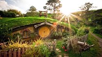 Hobbiton Day Trip Private Transport From Auckland 