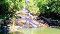 Navigate the local culture of Costa da Lagoa