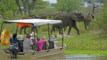 3 Days 2 Nights Nyerere National park Lodge Wildlife Safari