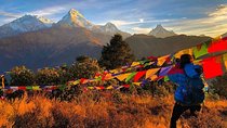 4 Days Poon hill trekking from Pokhara