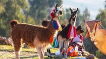 Half Day - Maras Moray & Ccorcco Community 